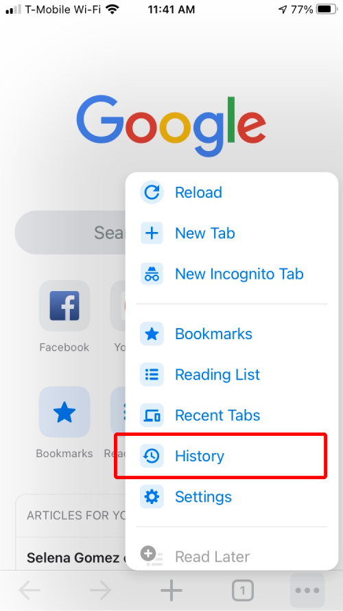 History setting in browser